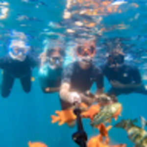 Meet your Posher, Maria